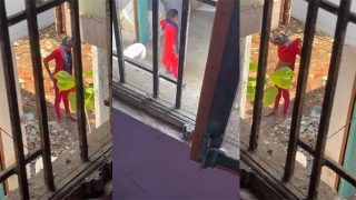 Maid Opens Her Pants Outdoor Films – By Neighbor And Masturbate
